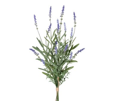 Kunstpflanze Lavendelbund, 3er Set, Farbe lila, Höhe...