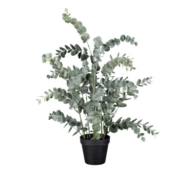 Kunstpflanze Eucalypthus, Farbe grau-grün, inkl....