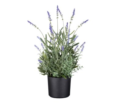 Kunstpflanze Lavendel, Farbe lila, inkl. Kunststofftopf, Höhe ca. 40 cm  ✔ online kaufen