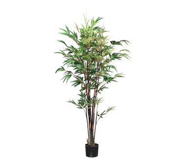 Kunstpflanze Bambus Chinese Wonder, Farbe rot-grün,...