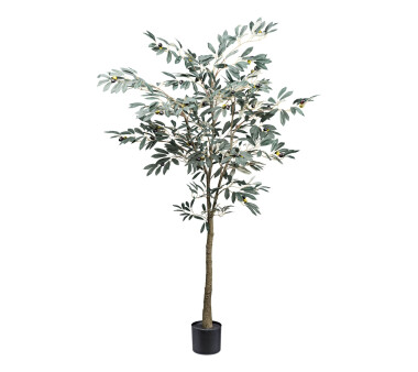 Kunstpflanze Olivenbaum, Farbe grün, inkl....