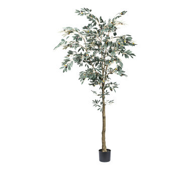 Kunstpflanze Olivenbaum, Farbe grün, inkl....