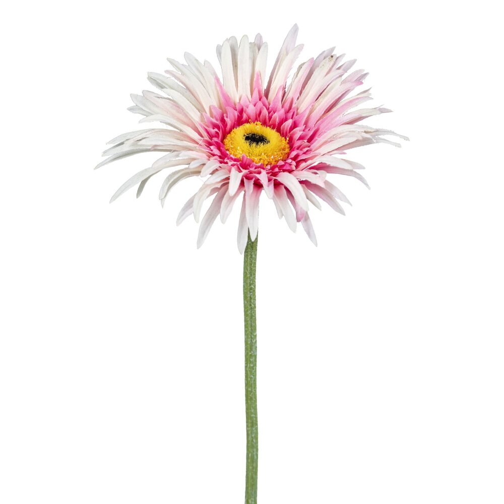 kaufen 7er Set, Gerbera, rosa, ✔ Kunstblume online 66 Farbe ca. cm Höhe