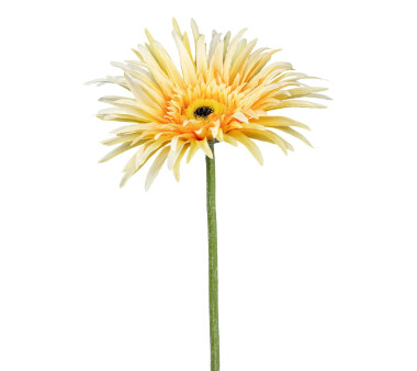 Kunstblume Gerbera, 7er Set, Farbe gelb, Höhe ca. 66 cm