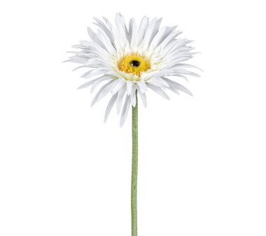 Kunstblume Gerbera, 7er Set, Farbe lachs, Höhe ca. 66 cm ✔ online  kaufen