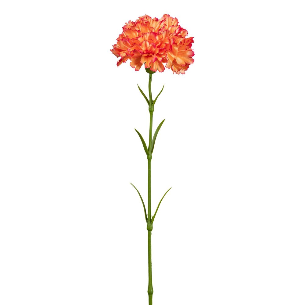 Kunstblume Nelke, 6er Set, Farbe orange, Höhe ca. 43 cm ✔ online  kaufen