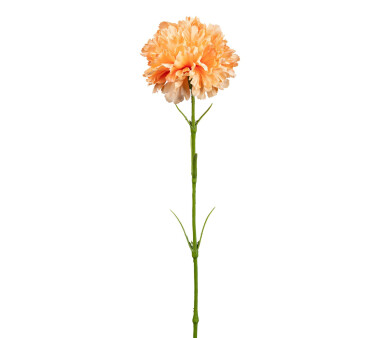 Kunstblume Nelke, 6er Set, Farbe orange, Höhe ca. 43 cm ✔ online  kaufen