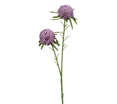 Kunstblume Dahlie, 5er Set, Farbe lila, Höhe ca. 46 cm