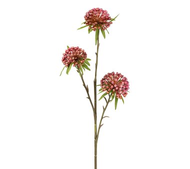 Kunstblume Allium, 4er Set, Farbe pink, Höhe ca. 62 cm