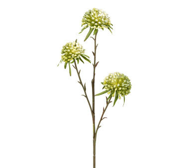 Kunstblume Allium, 4er Set, Farbe grün-weiß,...