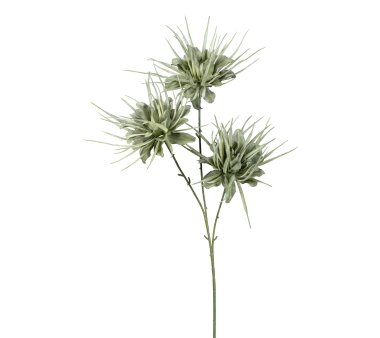 Kunstblume Epiphyllum, 2er Set, Farbe grau-grün,...