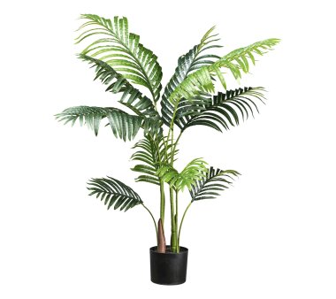 Kunstpflanze Kentiapalme, Farbe grün, inkl....