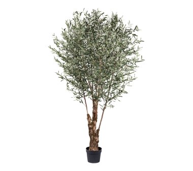 Kunstpflanze Olivenbaum, Naturstamm, Farbe grün,...