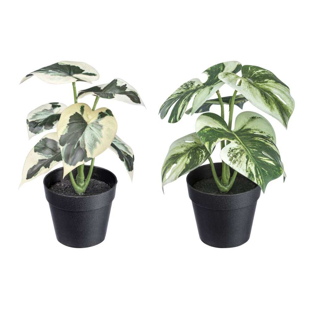 Kunstpflanze Grünpflanzen-Mix, 2-fach grün, ✔ online 21 cm ca. sortiert, inkl. Höhe kaufen Kunststofftopf, Farbe