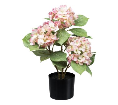 Kunstpflanze Hortensienbusch, Farbe rosa-creme, inkl....