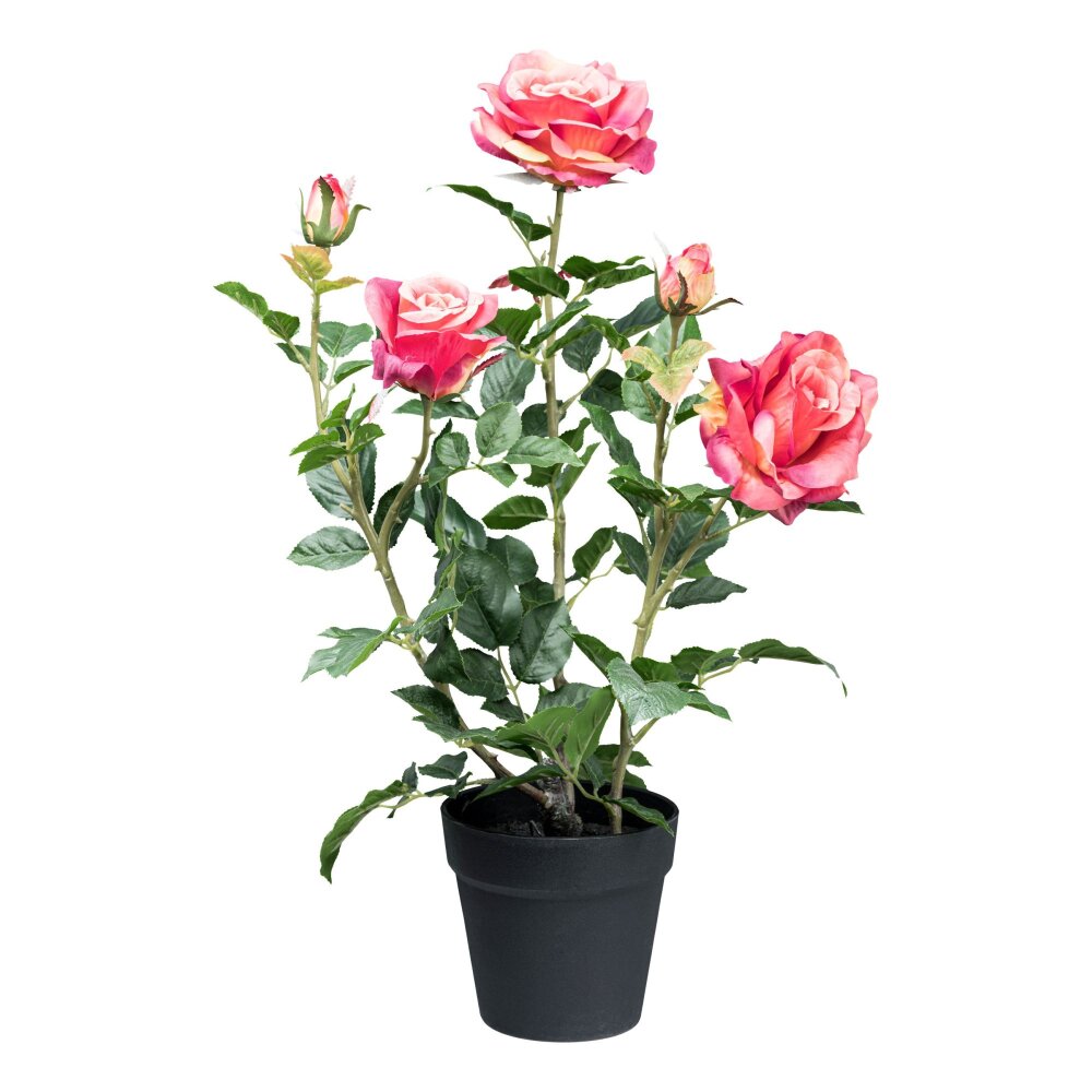 Kunstpflanze Rosenbusch, Farbe pink, inkl. Kunststofftopf, Höhe ca. 58 cm  ✔ online kaufen