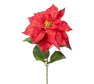 Künstliche kaufen Poinsettie günstig