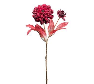 Farbe Kunstblume 64 kaufen Höhe Rose, online cm ca. bordeaux, Set, 3er