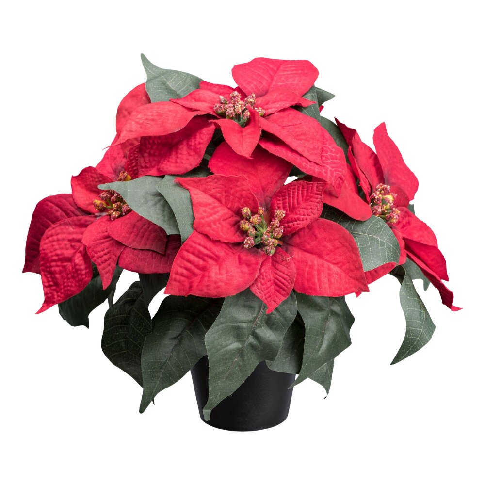 Künstliche Poinsettie günstig kaufen