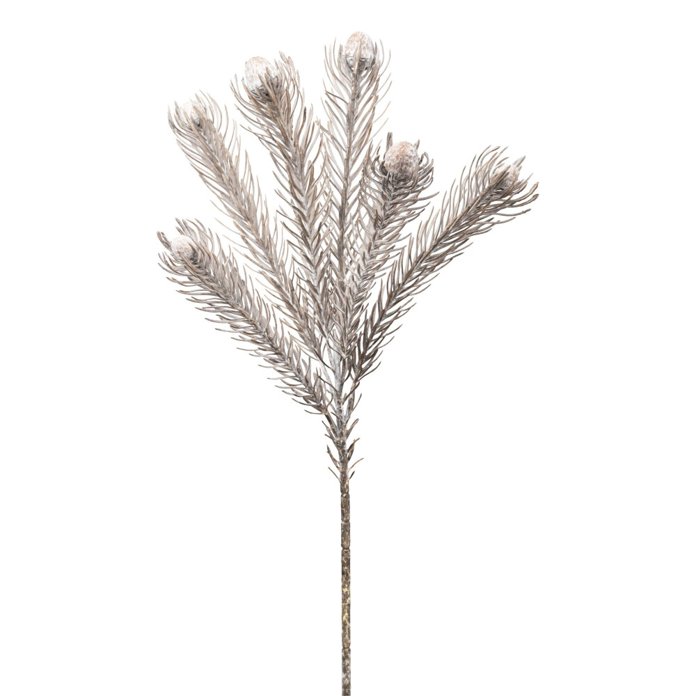 Kunstblume Protea, 3er Set, Farbe grau, Höhe ca. 49 cm online kaufen