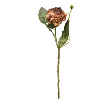 Kunstblume Rose, 6er Set, Farbe braun, Höhe ca. 45 cm