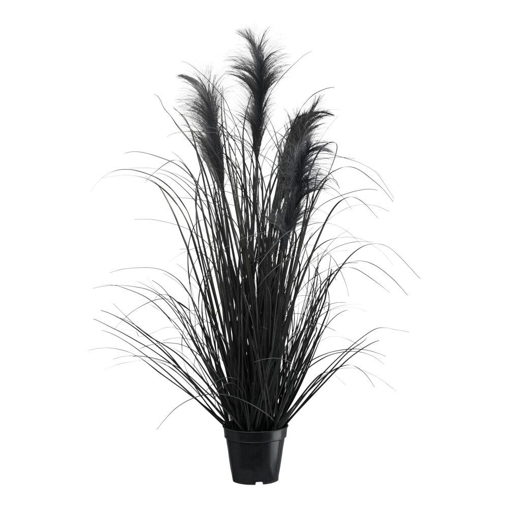 Kunstpflanze Pampasgras, Farbe schwarz, inkl. Topf, Höhe ca. 92 cm online  kaufen