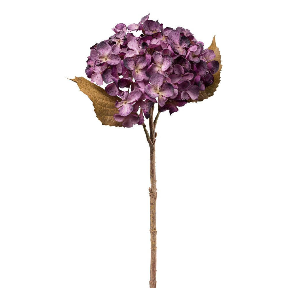 kaufen Hortensie, Kunstblume Farbe 3er Set, lila, 46 cm online ca. Höhe
