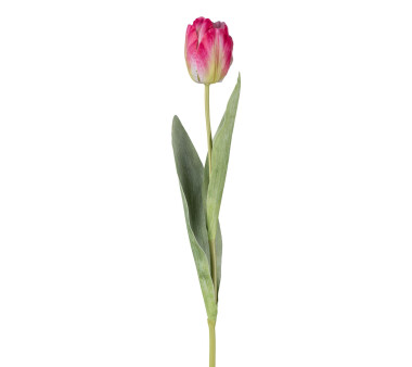 Kunstblume Tulpe offen, 6er Set, Farbe dunkelrosa,...