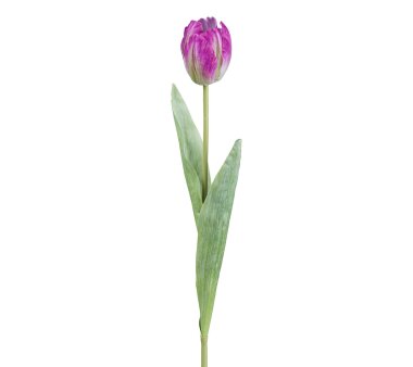 Kunstblume Tulpe offen, 6er Set, Farbe lila, Höhe...