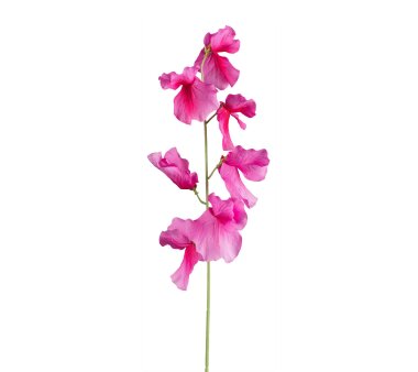 Kunstblume Wicke, 6er Set, Farbe pink, Höhe ca. 50 cm