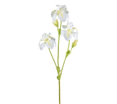 Kunstblume Iris, 2er Set, Farbe weiß, Höhe ca....