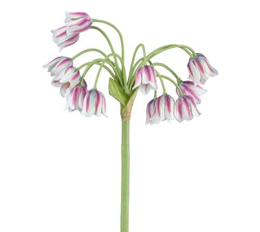 Kunstblume Allium, 3er Set, Farbe rot-rosa, Höhe ca....