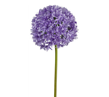 Kunstblume Allium, 2er Set, Farbe lila, Höhe ca. 89 cm