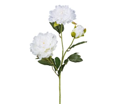 kaufen Kunstblume online Set, ca. Höhe cm weiß, 3er 68 Gladiole,