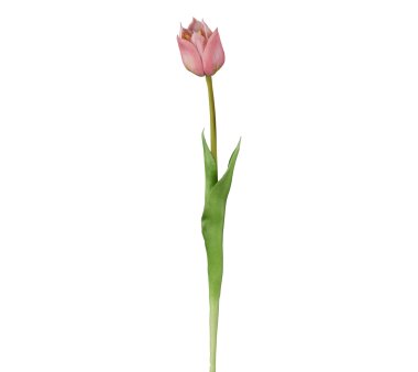 Kunstblume Tulpe rosa, 4er, 67 cm | kaufen