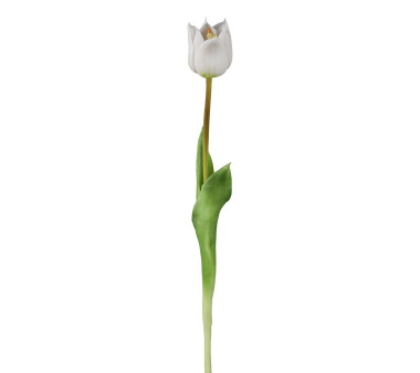 Kunstblume Wild-Tulpe, 6er Set, Farbe weiß,...