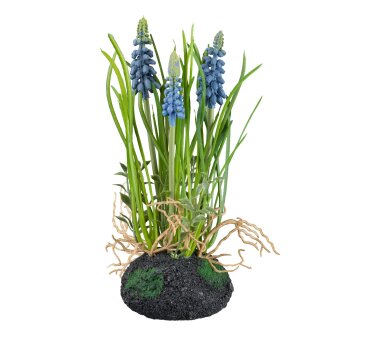 Kunstpflanze Muscari, 3er Set, Farbe blau, inkl....