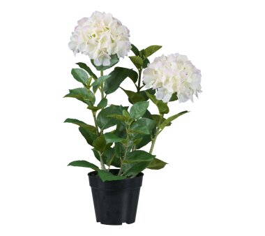 Kunstpflanze Hortensie, Farbe weiß, inkl. Topf,...