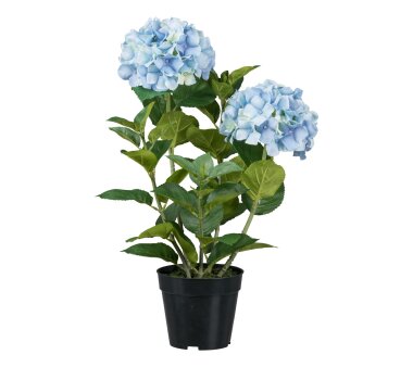 Kunstpflanze Hortensie, Farbe blau, inkl. Topf, Höhe...