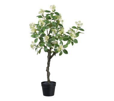 Kunstpflanze Viburnum Tinus, Farbe weiß, inkl....