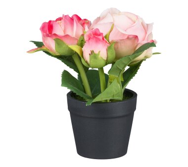 Kunstpflanze Rosen, 4er Set, Farbe rosa, inkl. Topf,...