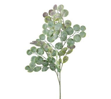 Kunstpflanze Eukalyptuszweig, 3er Set, Farbe grau,...