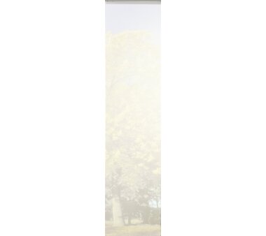 3er-Set Schiebevorhang, 88429-796, blickdicht, CORK, Höhe 245 cm