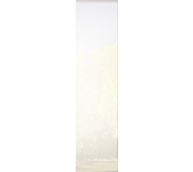 Schiebgardine 5er-Set, blickdicht, WUXI, 95150-703, Höhe 245 cm, grau