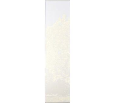 6er-Set Schiebevorhang, blickdicht, DENVER, 96136-703, Höhe 245 cm